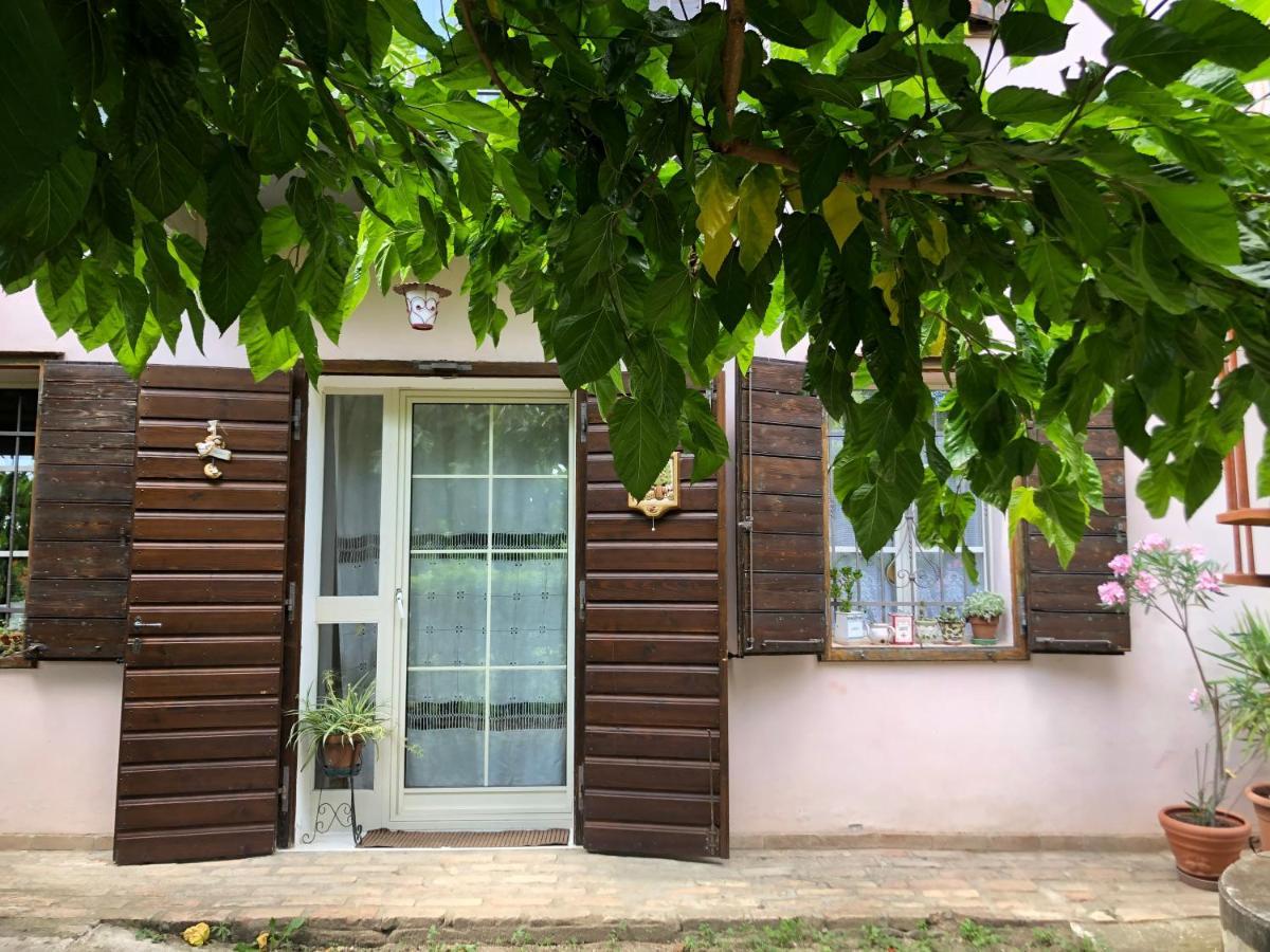 戈里齐亚La Casa Nel Bosco住宿加早餐旅馆 外观 照片